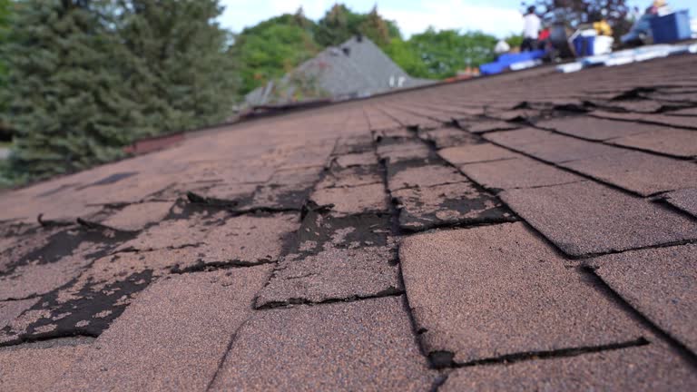 Best EPDM Roofing  in USA